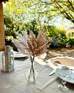 Gite 4 personnes dans Mas Provençal avec piscine et jardin - 6