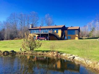 Spacious luxurious Villa, bright cottage, pool, Jacuzzi, sauna, nature - Mansonville - 0
