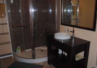 Spacious luxurious Villa, bright cottage, pool, Jacuzzi, sauna, nature - Mansonville - 6