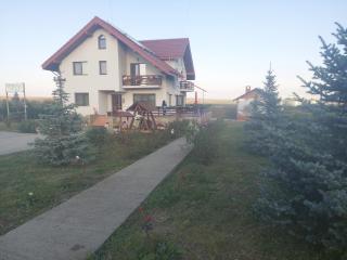 Pensiunea Lucian - Bălţaţi - 2
