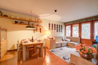 Lo Stambecco - Happy Rentals - Bardonecchia - 9
