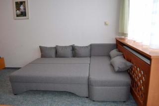 Apartmán Almberg - Mitterdorf - Mitterfirmiansrout - Philippsreut - 5