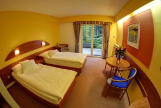 Hotel Břízky - Jablonec nad Nisou - 2