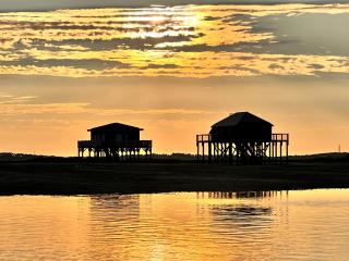 Cap bonheur by Carine - Lège-Cap-Ferret - 1
