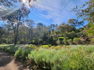 The Lavender Patch - 8