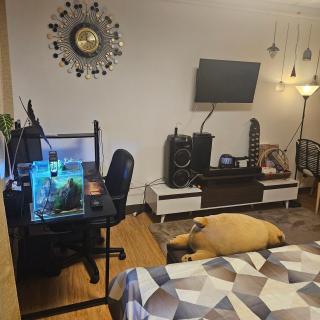 Mench Staycation - 7