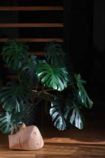 Casa Vacanze Černovice - 2