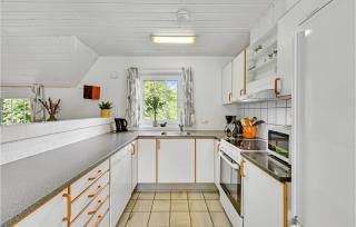 Stunning Home In Ringkøbing With Sauna - Søndervig - 4