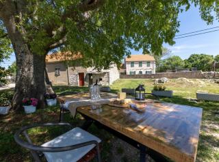 Peaceful and Cozy Holiday Home near Imotski - Žeževica - 7