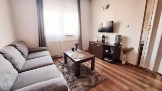 LERA Apartment-free public parking nearby - Zagreb - 3