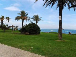 Все что нужно, всегда рядом - Alicante - 2