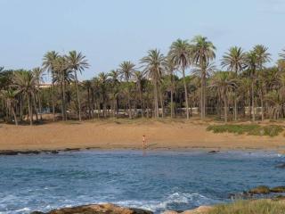 Все что нужно, всегда рядом - Alicante - 4
