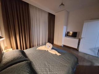 City Center Apartment - Tirana - 1