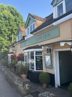 The Three Cups Inn - 7