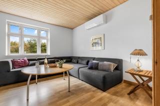 Large Pool House With Activity Room Located In Peaceful Surroundings - Frøstrup - 7