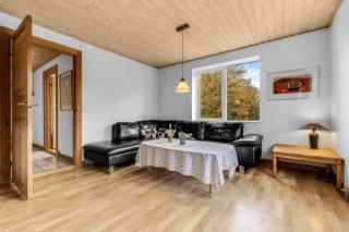 Large Pool House With Activity Room Located In Peaceful Surroundings - Frøstrup - 6