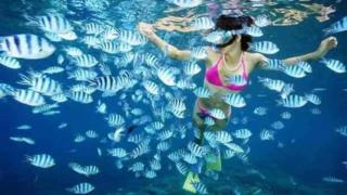 Mana Lagoon Backpackers - Mamanuca Islands - 5
