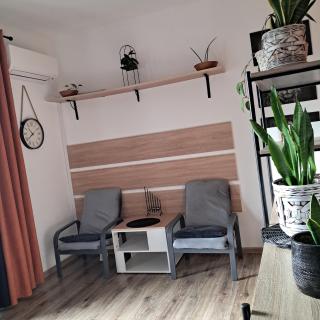 Apartment Le Chat - Radom - 5
