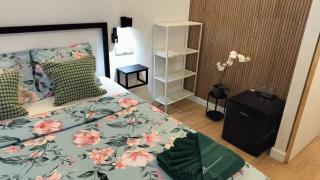 Figueira House in Beira Minho - Lissabon - 1