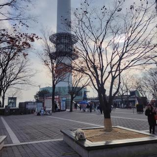 Newly Renovated Cozy Studio#9 - Seul - 4