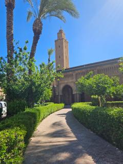 Mira Medina Garden - 8