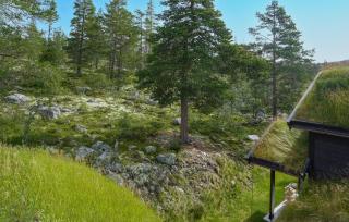 Gorgeous Home In Rendalen With Sauna - Rendalen - 3
