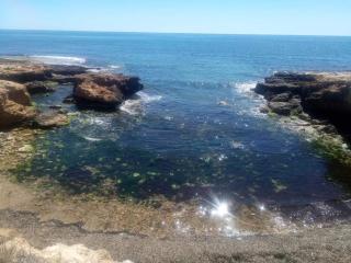 Все что нужно, всегда рядом - Alicante - 9