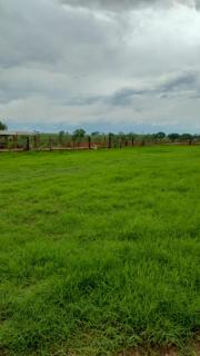 Camping ACERVO KM 629 - Andradina - 4