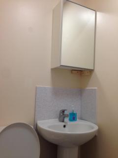 Large Ensuite near Science Park Cambridge - Cambridge - 6