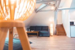 Le Nid dAigle - Spacieux logement sous les toits - Tours - 9