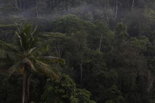 BELALU Bali Boutique & SPA experience - Ubud - 1