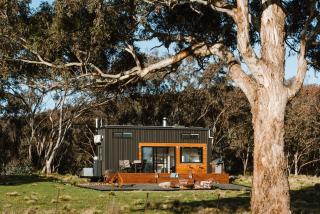 Wildnest Wilderness - Turondale - 6