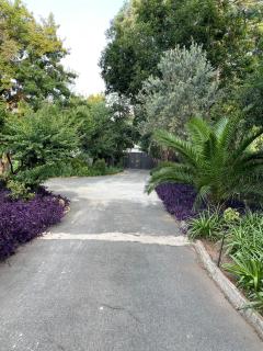 ZinziLuxe Guest House - Johannesburg - 7