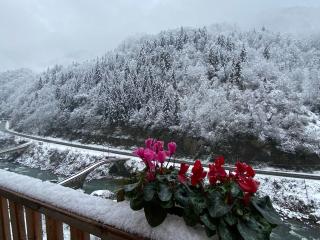 HiraBungalov - Çamlıhemşin - 2