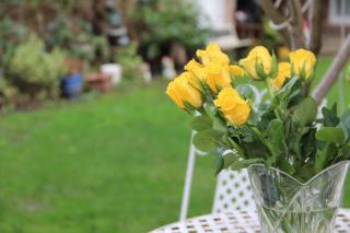 Bright London Garden Studio! - Londra - 6