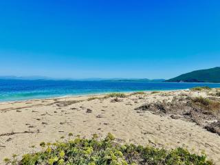 Beach Villa Fotini with private pool by DadoVillas - 6