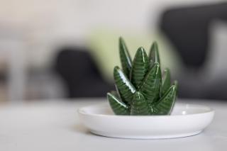 Home2Book Cozy Beachfront Getaway in Tarajalejo - 4