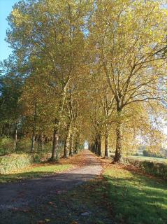 Château d'Hugémont- aile du Parc - 5
