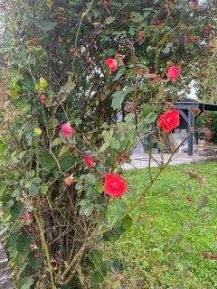 le chant de la rivière - 2