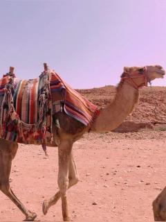 Excursion montagne - 7