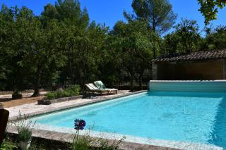 La Piscine dans la Foret - Gordes - 8