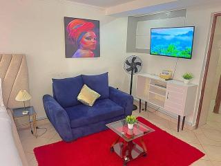Executive Homely Studio apt - Kisumu - 3