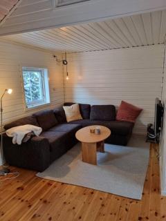 Koselig hytte sentralt på Norefjell, ski in & out - Surteberg - 8