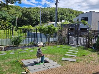 Kong's heyri pet-friendly - 3