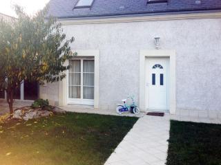 Les Agapanthes La Riche - 9