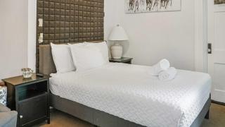 Tranquil Retreat amidst Clifton & Crescent Hill's Vibrant Energy - Louisville - 2