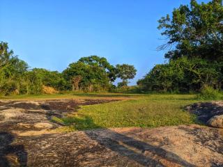 Yala Jungle Haven - 1