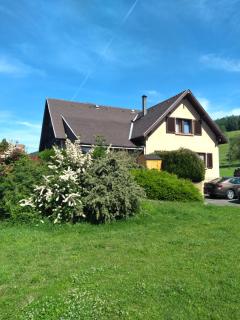 Belle Maison 300m2 - 8 pièces grand séjour salle à manger - cuisine équipée - 15 personnes - Vues panoramiques ! - Munster - 0