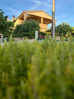 DanisaCroatia - Maslenica - 7