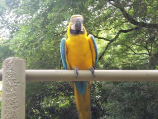 Ecolodge Maruamake - Santa Marta - 3